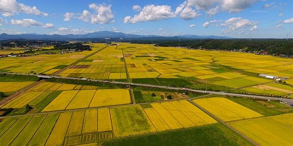 栗駒山麓ジオパーク2