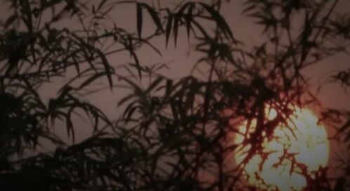 闇の手前