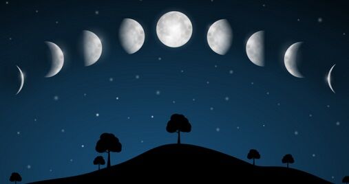夜
