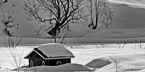 �̳�ƻ����