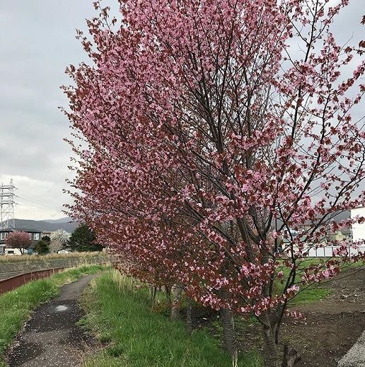 ������ޥ�����