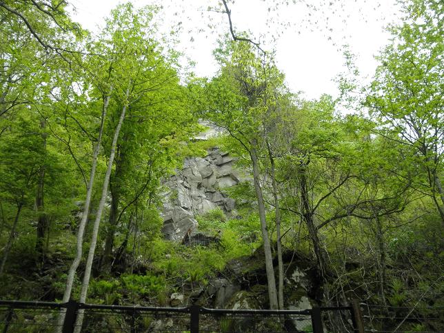 奥入瀬の岩