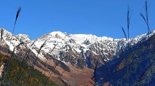 �ɷ�ʳƮ�������̰�