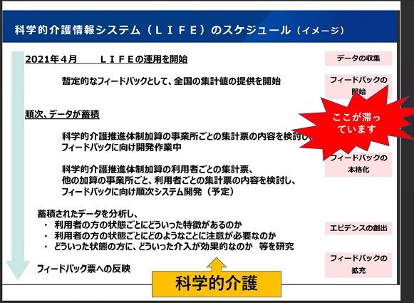 LIFEスケジュール
