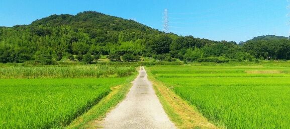 Ãæ»³´Ö¡¦¿Í¸ý¸º¾¯Ãϰè