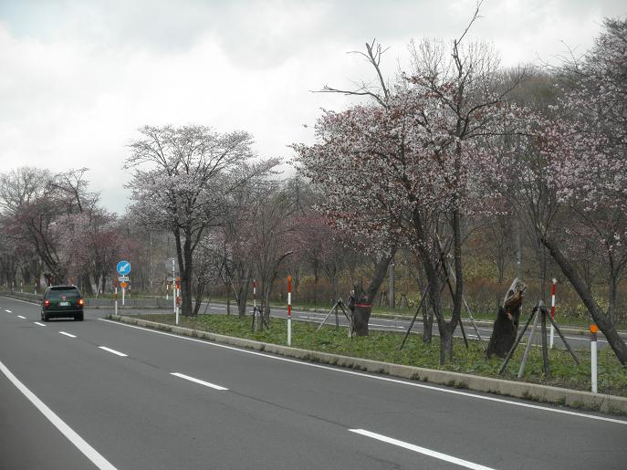 ���Υȥ�ͥ�