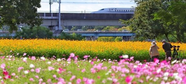 À¸³è¥â¥Ç¥ë¤Î¥±¥¢¥Þ¥Í¥¸¥á¥ó¥È