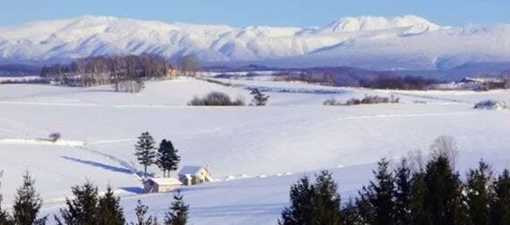 ����Į����