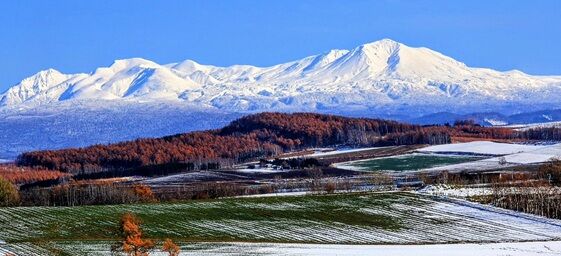 ����󽷤δ������Ϥɤ��ʤ�Τ�