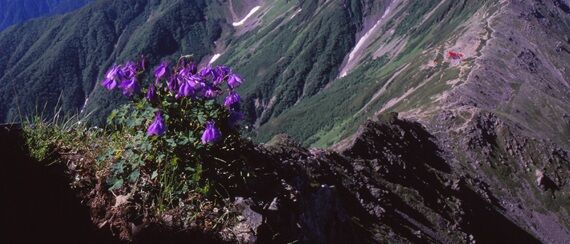 ¸«¤¨¤Ê¤¤¾ì½ê¤Ëºé¤¯²Ö