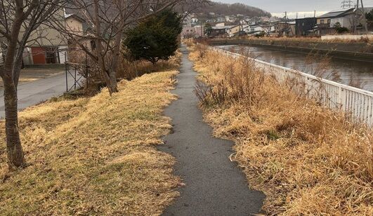 12/24¤ÎÅÐÊÌ»ÔÏÉÊÌÄ®