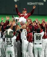 �Υव��ƹ�夲