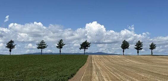 ¥á¥ë¥Ø¥ó¤ÎµÖ¡ÊÂç¶õÄ®¡Ë