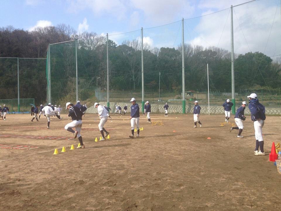 追手門学院大学野球部のトレーニング 京都向日市ひまわり鍼灸整骨院 trx 加圧トレーニングスタジオソレイユ 追手門学院大学野球部のトレーニング 京都向日市ひまわり鍼灸整骨院 trx 加圧トレーニングスタジオソレイユ
