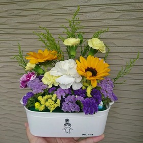 IMG_20220620_094652_256