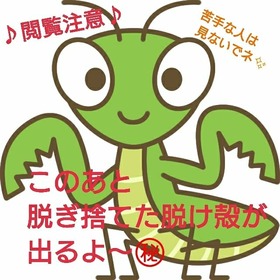 IMG_20200820_143230_110