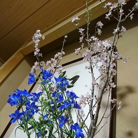 21-03-15-20-48-01-716_photo