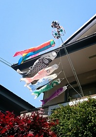 20-04-26-13-38-30-923_deco