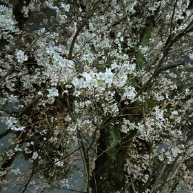 IMG20260329185858