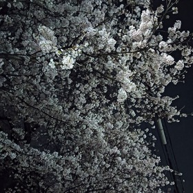 IMG20260329185837