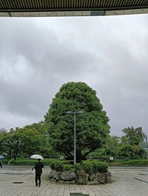 IMG20260926141246