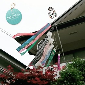 IMG_20210501_132943_501