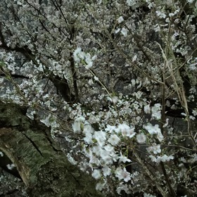 IMG20260329185810