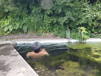 pool11