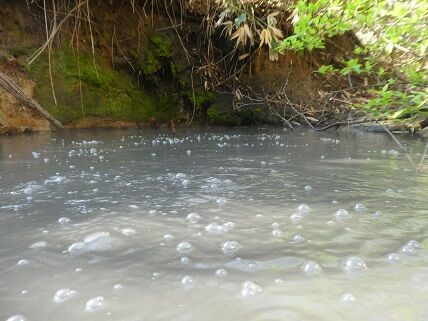 yunuma10