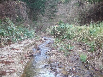 山の中のanswer 新潟発 B級温泉紀行 山の中のanswer 新潟発 B級温泉紀行