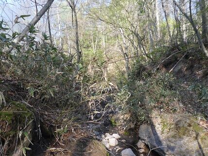 yunuma14