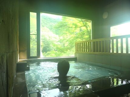 hoshinoya4