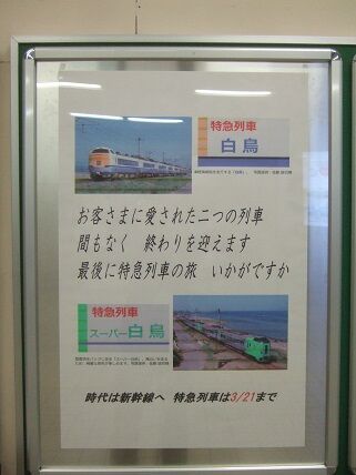 イメージ 7