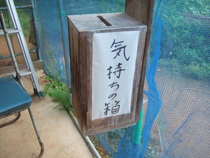 イメージ 9
