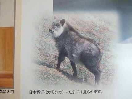 イメージ 6