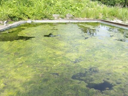 pool10