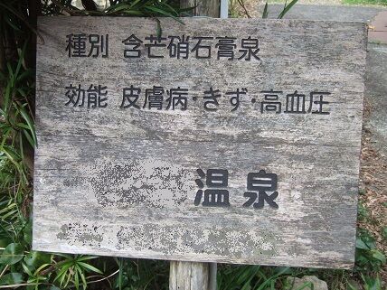 イメージ 10