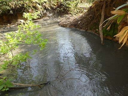 yunuma13