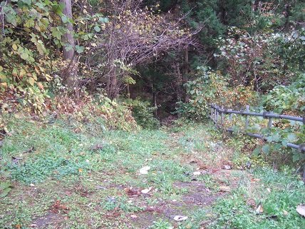 温泉マニア流 大人の休日倶楽部 新潟発 B級温泉紀行