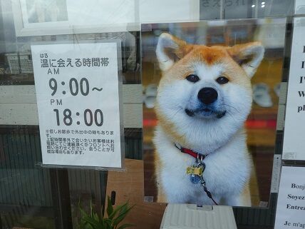 イメージ 3