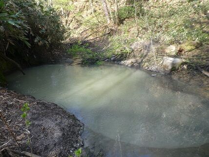 yunuma2