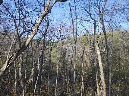 yunuma1