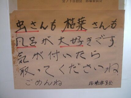 イメージ 15