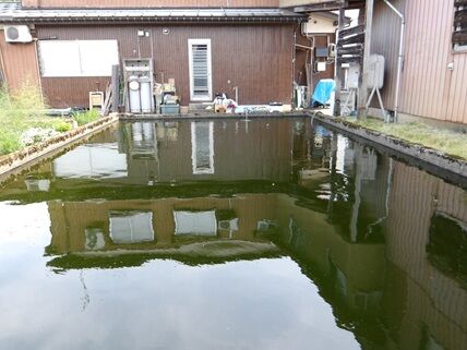 syosetsu1