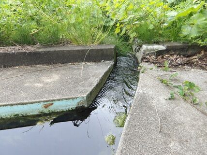 pool9