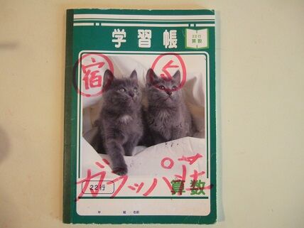 イメージ 10