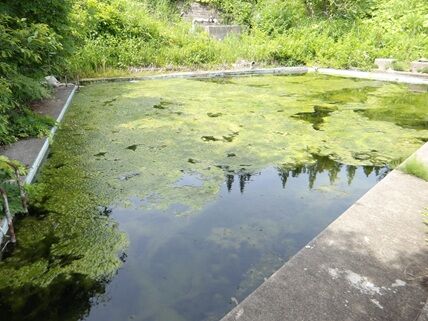 pool5