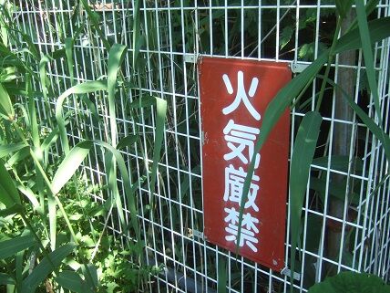 イメージ 5