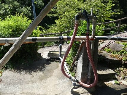 イメージ 5