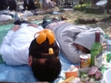 ダウン